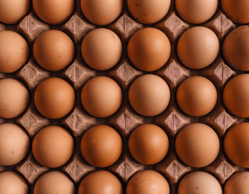 High Protein Source